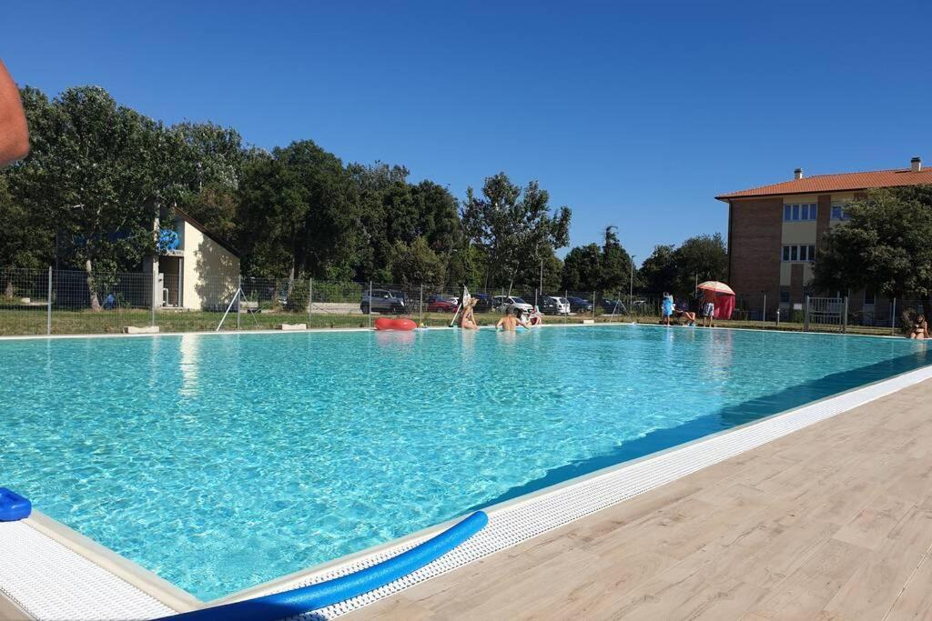Residance Il Piviere App 37 Daire Calambrone Dış mekan fotoğraf